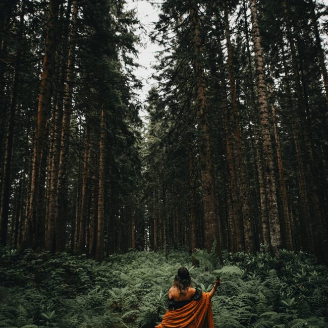 pexels-sinan-serin-8495514