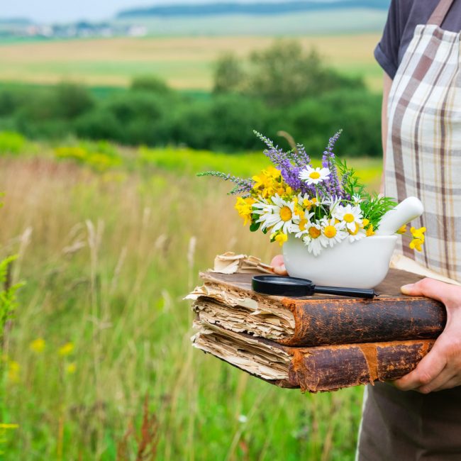 Woman,Holding,In,Her,Hands,Old,Books,,A,Mortar,And